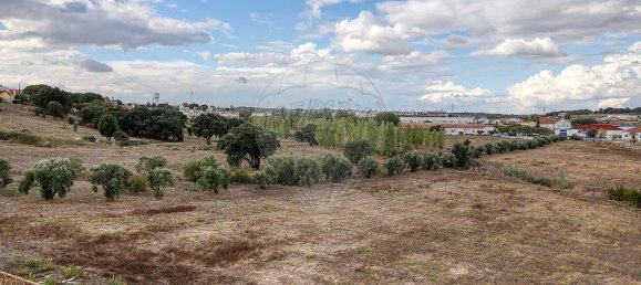 10232m² Land in Cartaxo, Portugal No. 99395 5