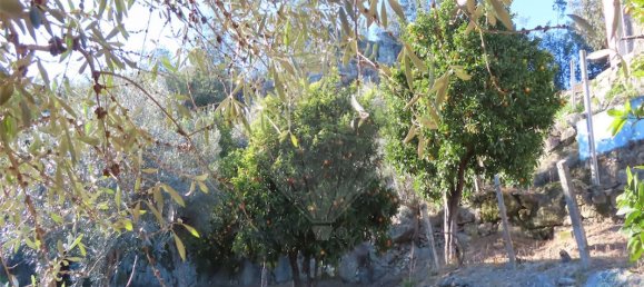 3 bedrooms House in Lourical do Campo, Portugal No. 175900 26