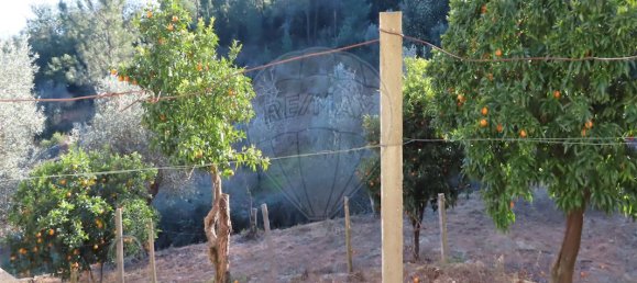 3 bedrooms House in Lourical do Campo, Portugal No. 175900 41