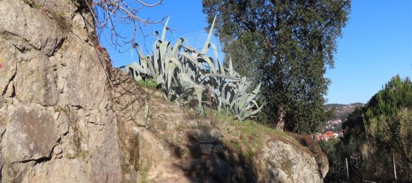 3 bedrooms House in Lourical do Campo, Portugal No. 175900 22