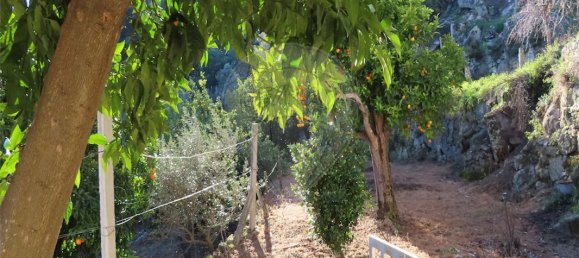 3 bedrooms House in Lourical do Campo, Portugal No. 175900 40