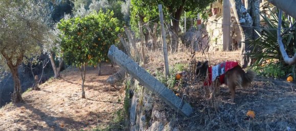 3 bedrooms House in Lourical do Campo, Portugal No. 175900 42