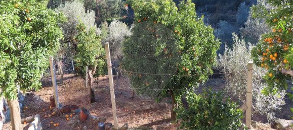 3 bedrooms House in Lourical do Campo, Portugal No. 175900 38