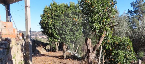 3 bedrooms House in Lourical do Campo, Portugal No. 175900 28