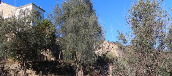 3 bedrooms House in Lourical do Campo, Portugal No. 175900 7