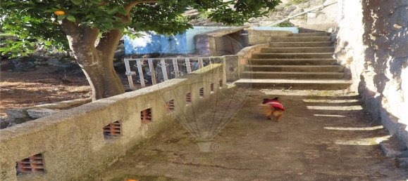 3 bedrooms House in Lourical do Campo, Portugal No. 175900 34