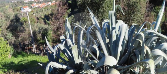 3 bedrooms House in Lourical do Campo, Portugal No. 175900 23