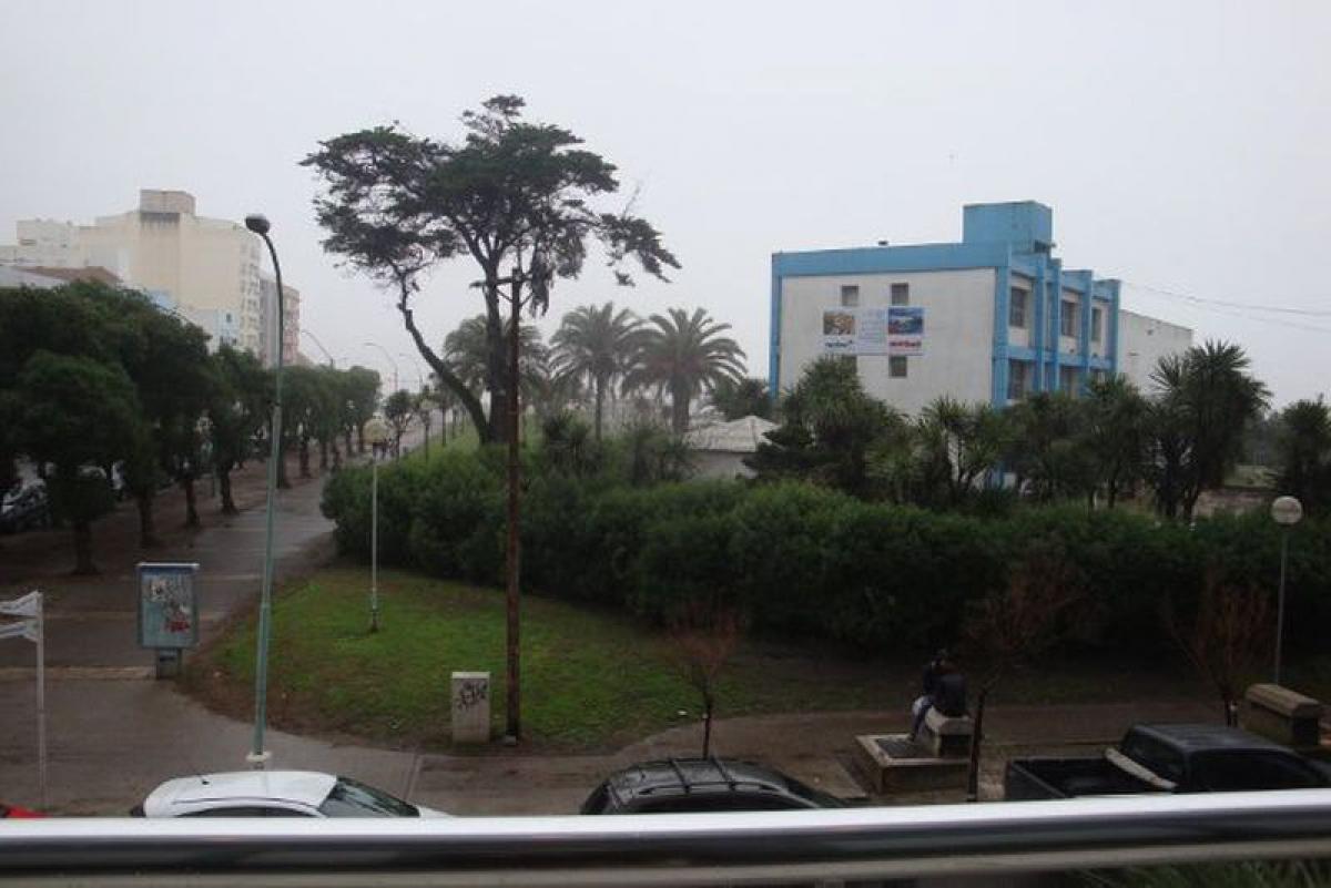 Studio in Mar del Plata, Argentina, Nr. 68467