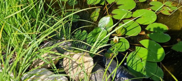 Casa T3 em Matzendorf-Holles, Austria N.º 129540 25