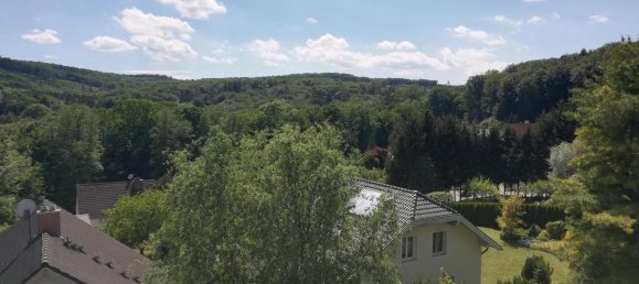 3 rooms Duplex in Sieghartskirchen, Austria No. 141445 2