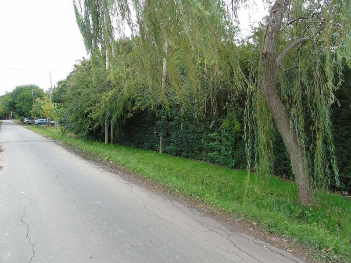  Land in Campo Creado, Argentina No. 32623