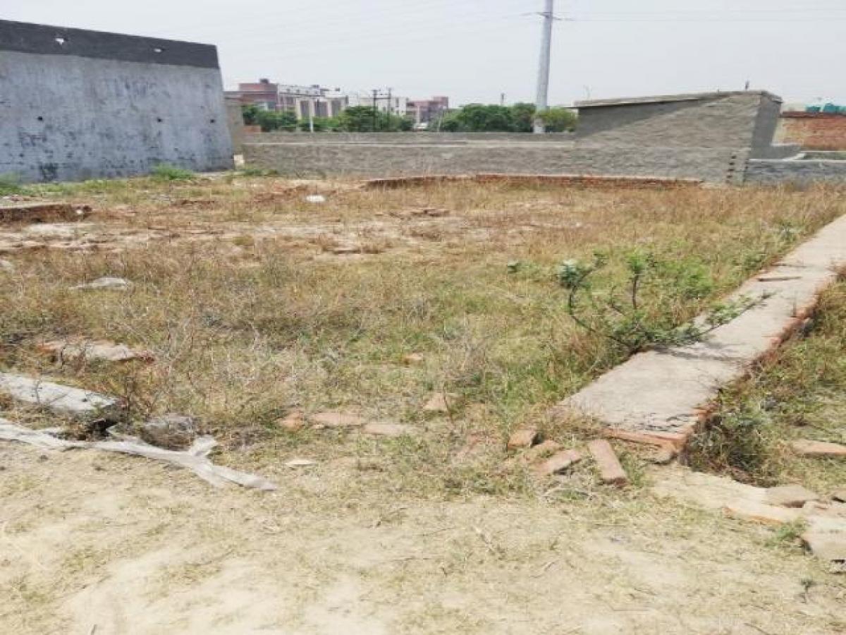  Land in Noida, India No. 36102