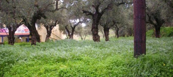  Hotel in Zakynthos, Greece No. 628 9