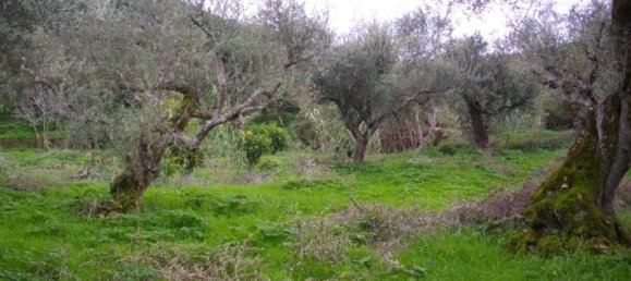  Hotel in Zakynthos, Greece No. 628 3