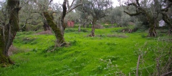  Hotel in Zakynthos, Greece No. 628 4