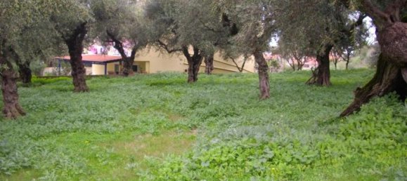  Hotel in Zakynthos, Greece No. 628 2