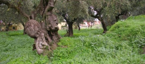  Hotel in Zakynthos, Greece No. 628 10