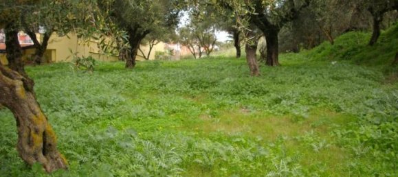  Hotel in Zakynthos, Greece No. 628 5