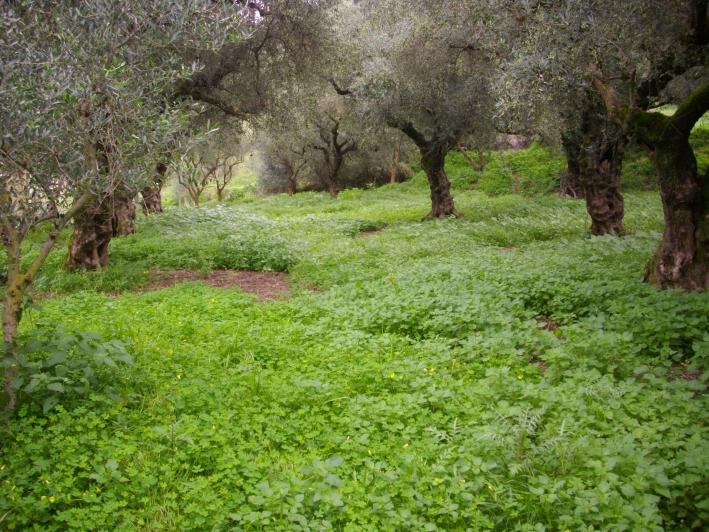  Hotel in Zakynthos, Greece No. 628