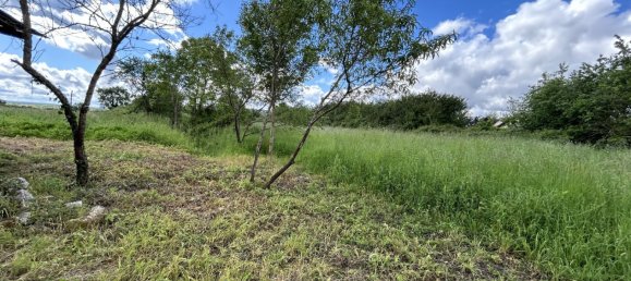 2 Schlafzimmer Haus in Beaulieu-sur-Loire, France, Nr. 65544 5