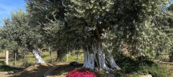 عقار تجاري في Euboea, Greece 150متر مربع رقم 52172 10