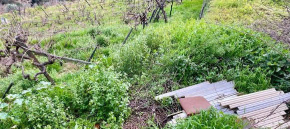 1 bedroom House in Peso da Regua, Portugal No. 17446 14