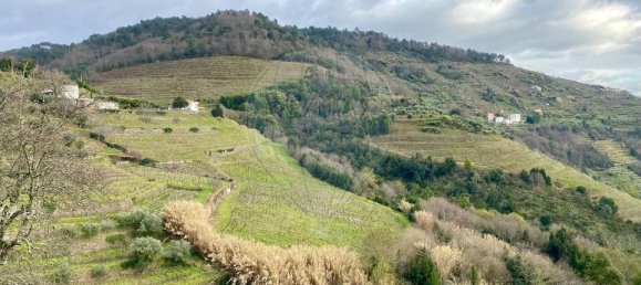 1 bedroom House in Peso da Regua, Portugal No. 17446 15