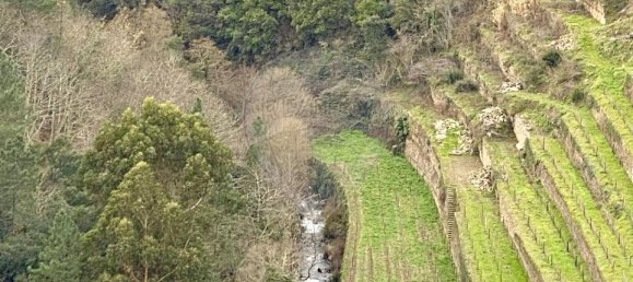 1 bedroom House in Peso da Regua, Portugal No. 17446 21