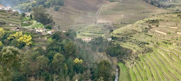 1 bedroom House in Peso da Regua, Portugal No. 17446 20