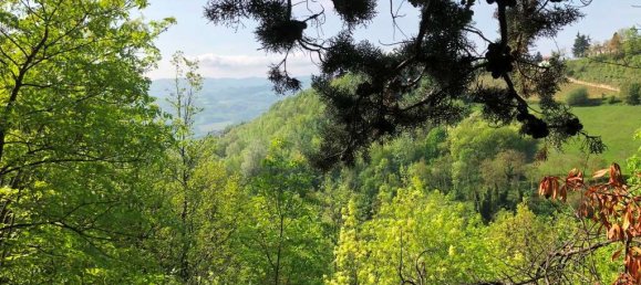 4 bedrooms House in Loazzolo, Italy No. 65712 6