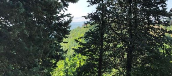 4 bedrooms House in Loazzolo, Italy No. 65712 9