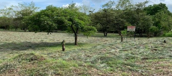  Land in Liberia, Costa Rica No. 1868 6