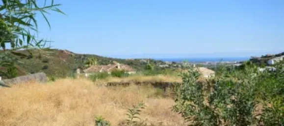  Land in La Quinta, Spain No. 51140 8