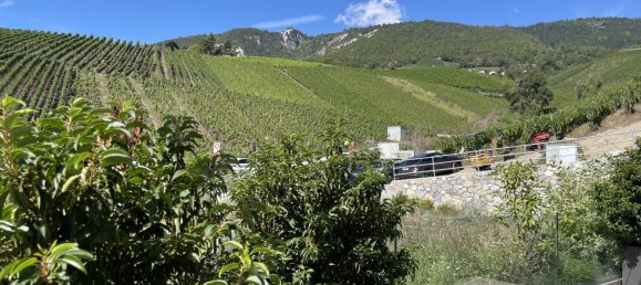 Кондоминиум с 3 спальнями в Sierre, Швейцария № 62 23