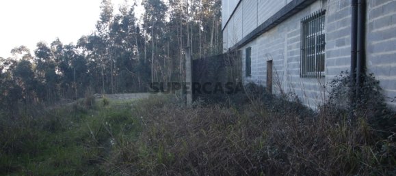 Склад 1000м² в Север ду Вога, Португалия № 158089 6