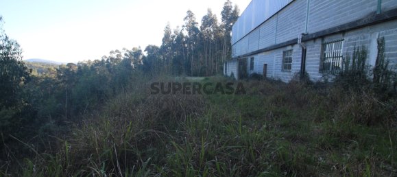 Склад 1000м² в Север ду Вога, Португалия № 158089 10