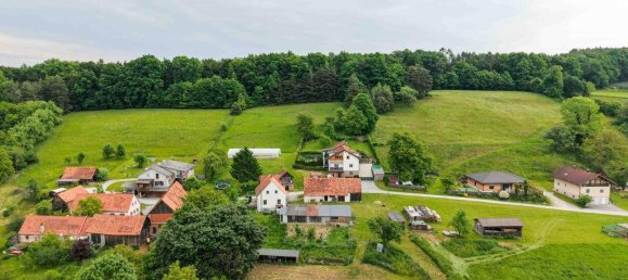 8-salle Maison à Hofstatten an der Raab, Austria No. 158755 3