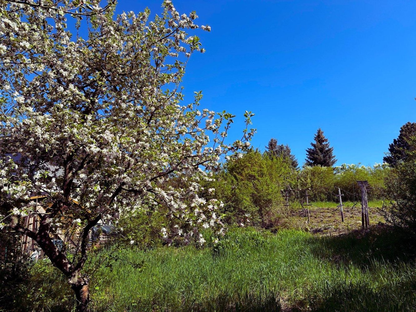 Земельный участок в Йена, Германия № 330708