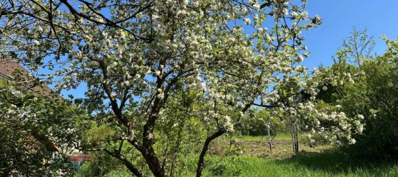 Земельный участок в Йена, Германия № 330708 4