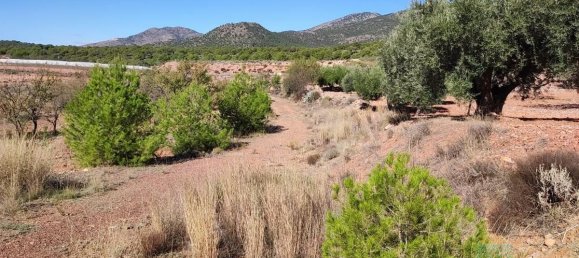 1 bedroom House in Totana, Spain No. 181890 14