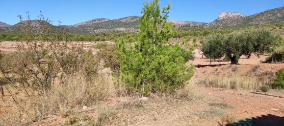 1 bedroom House in Totana, Spain No. 181890 13