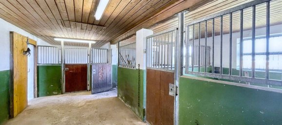 5 bedrooms Farm in Oberallgau, Germany No. 271126 11