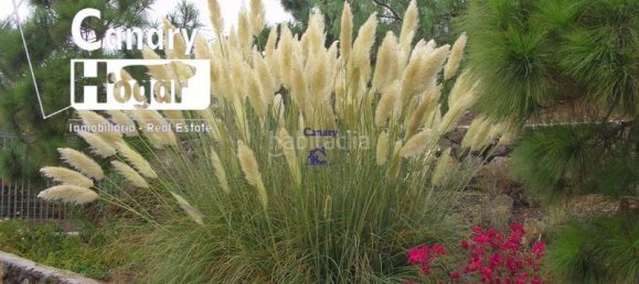 4 bedrooms House in San Miguel de Abona, Spain No. 129978 9