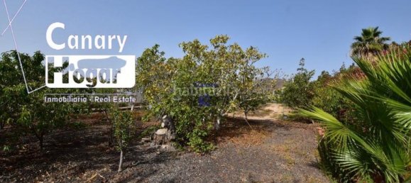 4 bedrooms House in San Miguel de Abona, Spain No. 129978 5