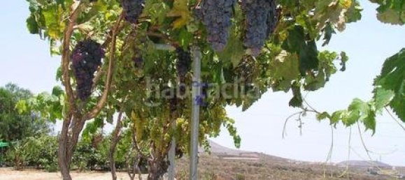 4 bedrooms House in San Miguel de Abona, Spain No. 129978 26