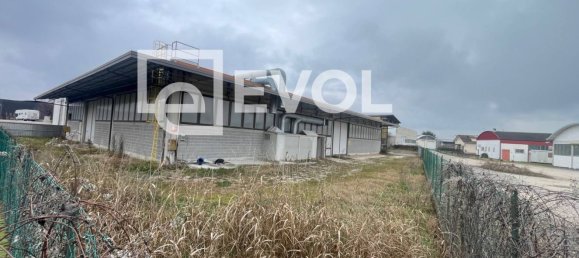 Almacén en Udine, Italy 3243 m² No. 280433 12