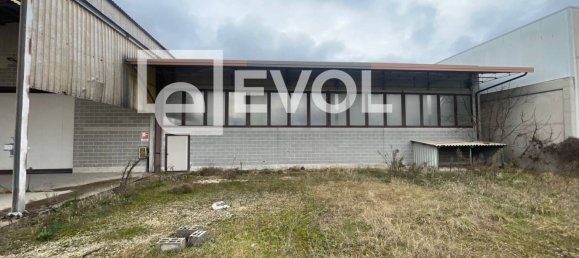 Almacén en Udine, Italy 3243 m² No. 280433 16