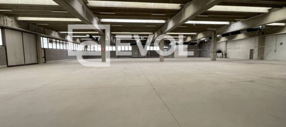 Almacén en Udine, Italy 3243 m² No. 280433 2