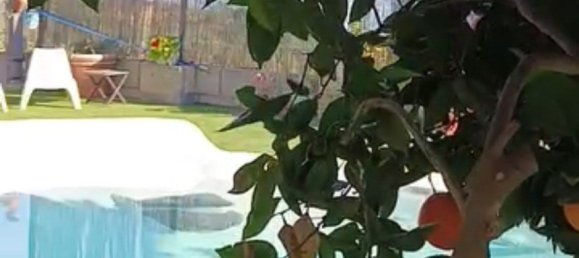 Terrain à San Miguel de Abona, Spain 8000m² No. 27687 23