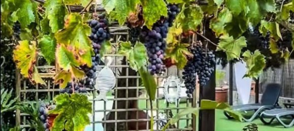 Terrain à San Miguel de Abona, Spain 8000m² No. 27687 16